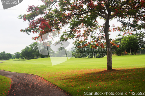 Image of Golf Greens