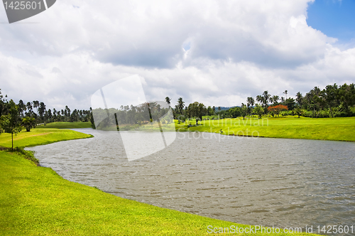 Image of Golf Greens