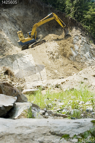 Image of Forest Destruction