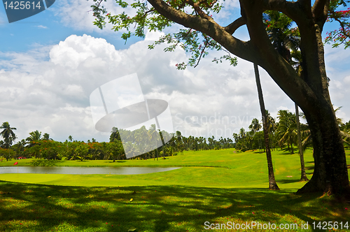 Image of Golf Greens