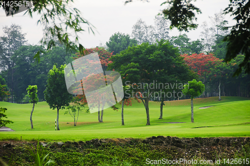 Image of Golf Greens