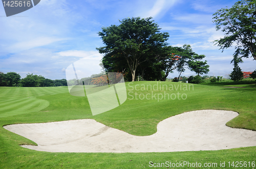 Image of Golf Greens