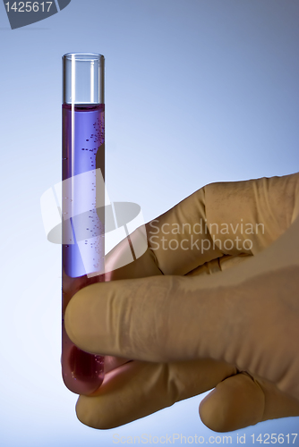 Image of Test Tubes