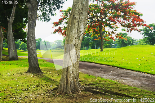 Image of Golf Greens