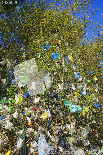 Image of Garbage on Tree