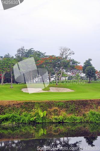 Image of Golf Greens