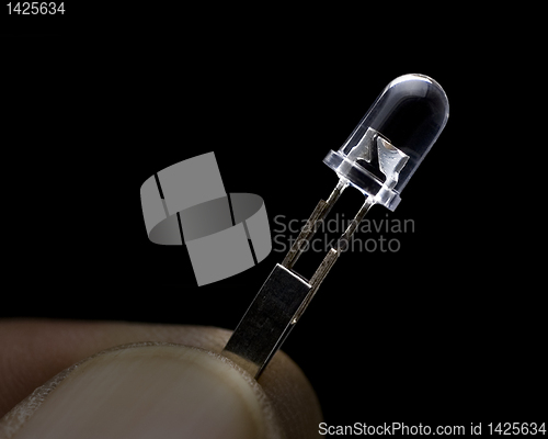 Image of Tiny Bulb