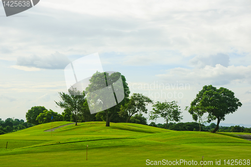 Image of Golf Greens