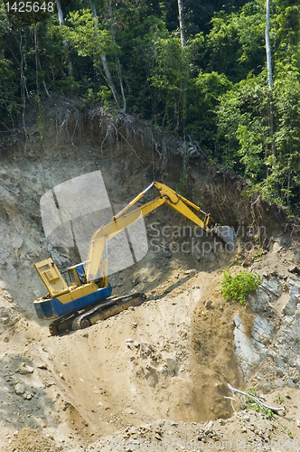 Image of Forest Destruction