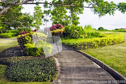 Image of Golf Cart Path