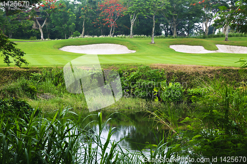 Image of Golf Greens