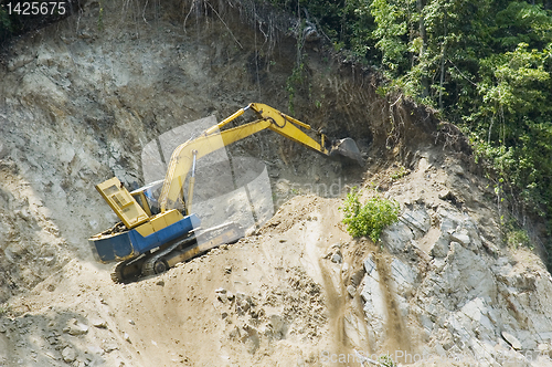 Image of Forest Destruction