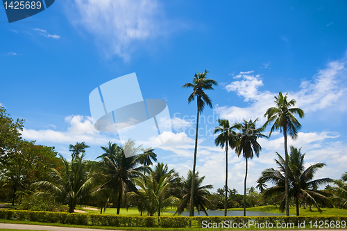 Image of Golf Greens