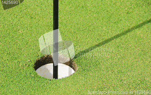 Image of Golf Greens