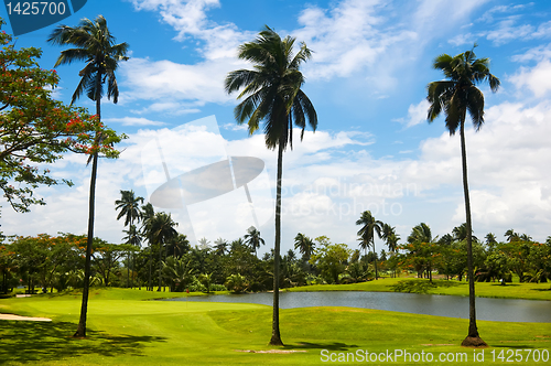 Image of Golf Greens