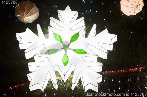 Image of Lantern Snowflake