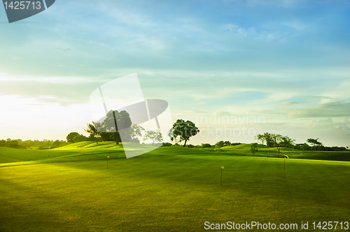 Image of Golf Greens