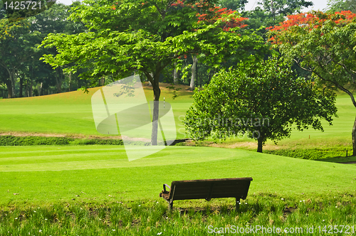 Image of Golf Greens