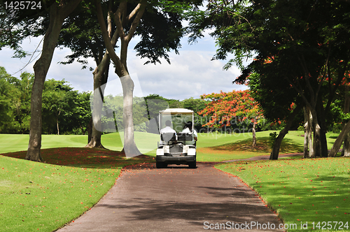 Image of Golf Cart