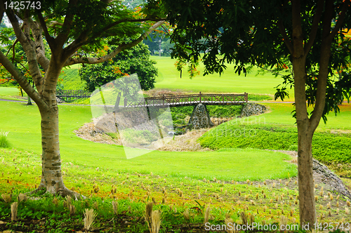 Image of Golf Greens