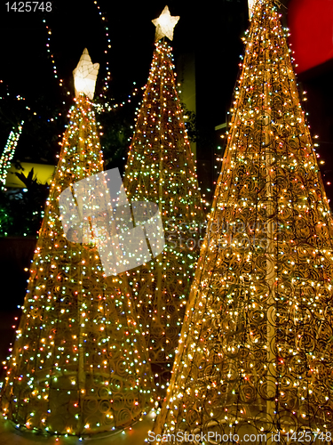 Image of Christmas Trees