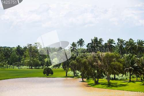 Image of Golf Greens