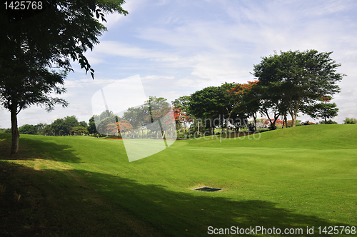 Image of Golf Greens
