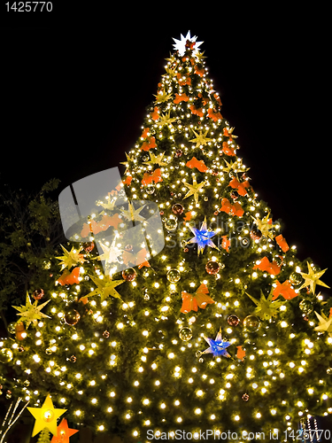 Image of Christmas Tree