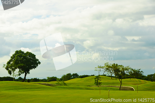 Image of Golf Greens