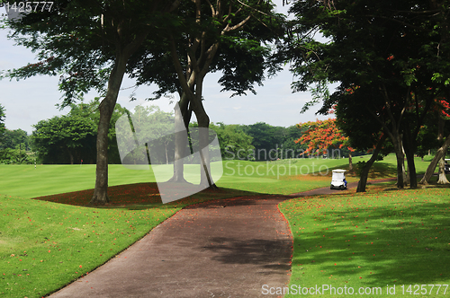 Image of Golf Greens