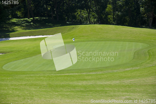 Image of Golf Greens