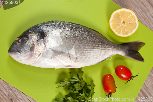 Image of Fresh gilthead