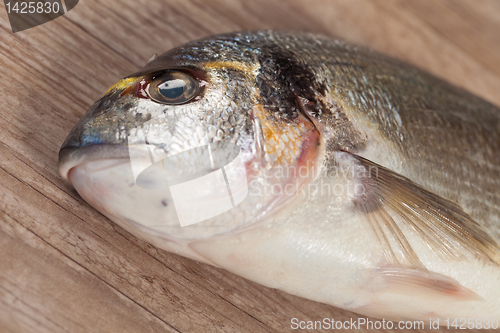 Image of Fresh gilthead