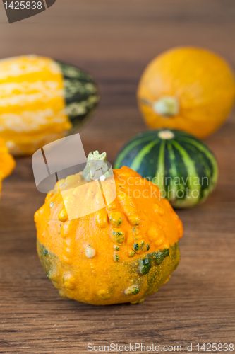 Image of Decorative pumpkin