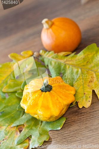 Image of Decorative pumpkin
