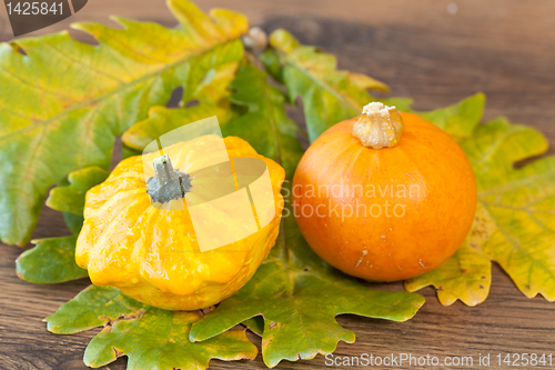 Image of Decorative pumpkin