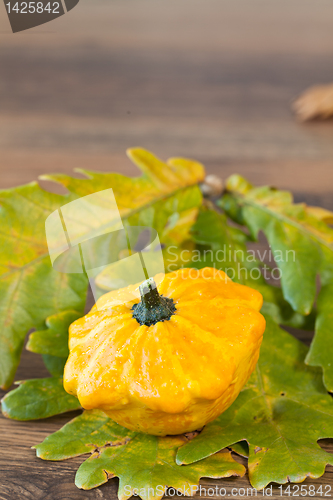 Image of Decorative pumpkin