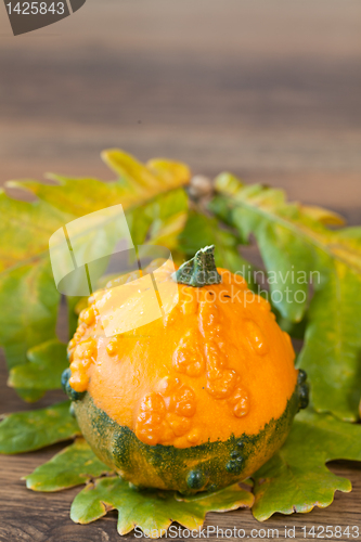 Image of Decorative pumpkin