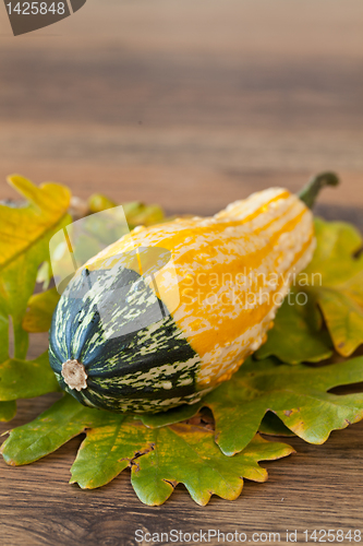 Image of Decorative pumpkin