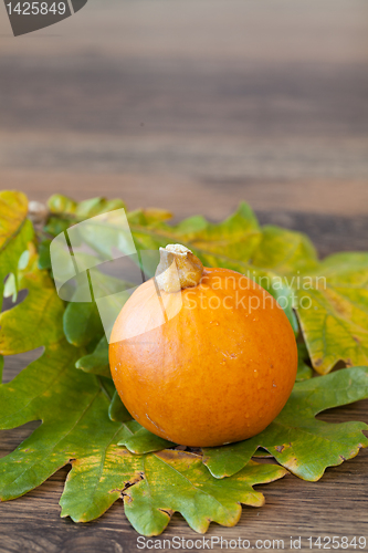 Image of Decorative pumpkin