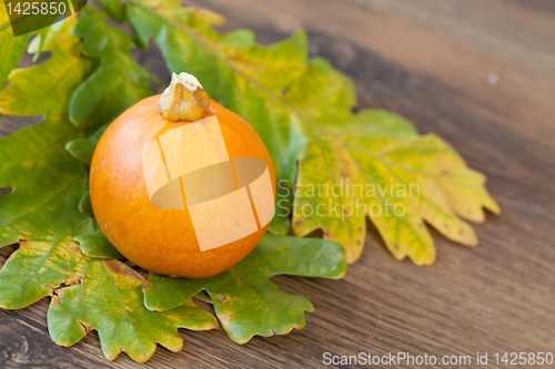 Image of Decorative pumpkin