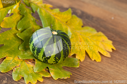 Image of Decorative pumpkin
