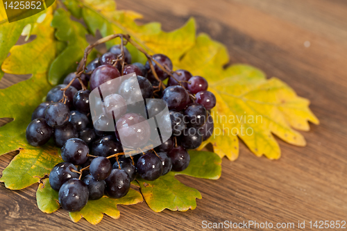 Image of Red grape