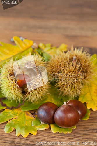 Image of chestnuts