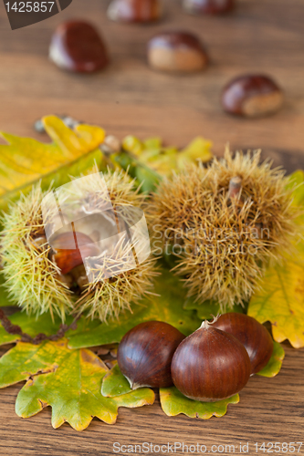 Image of chestnuts