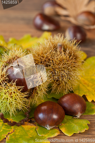 Image of chestnuts