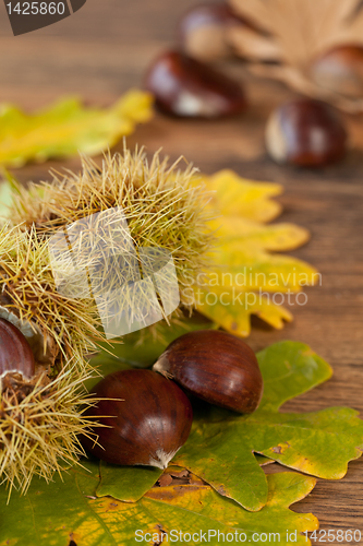 Image of chestnuts