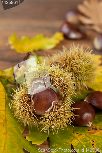 Image of chestnuts