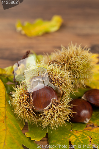 Image of chestnuts