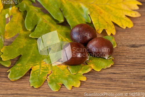 Image of chestnuts